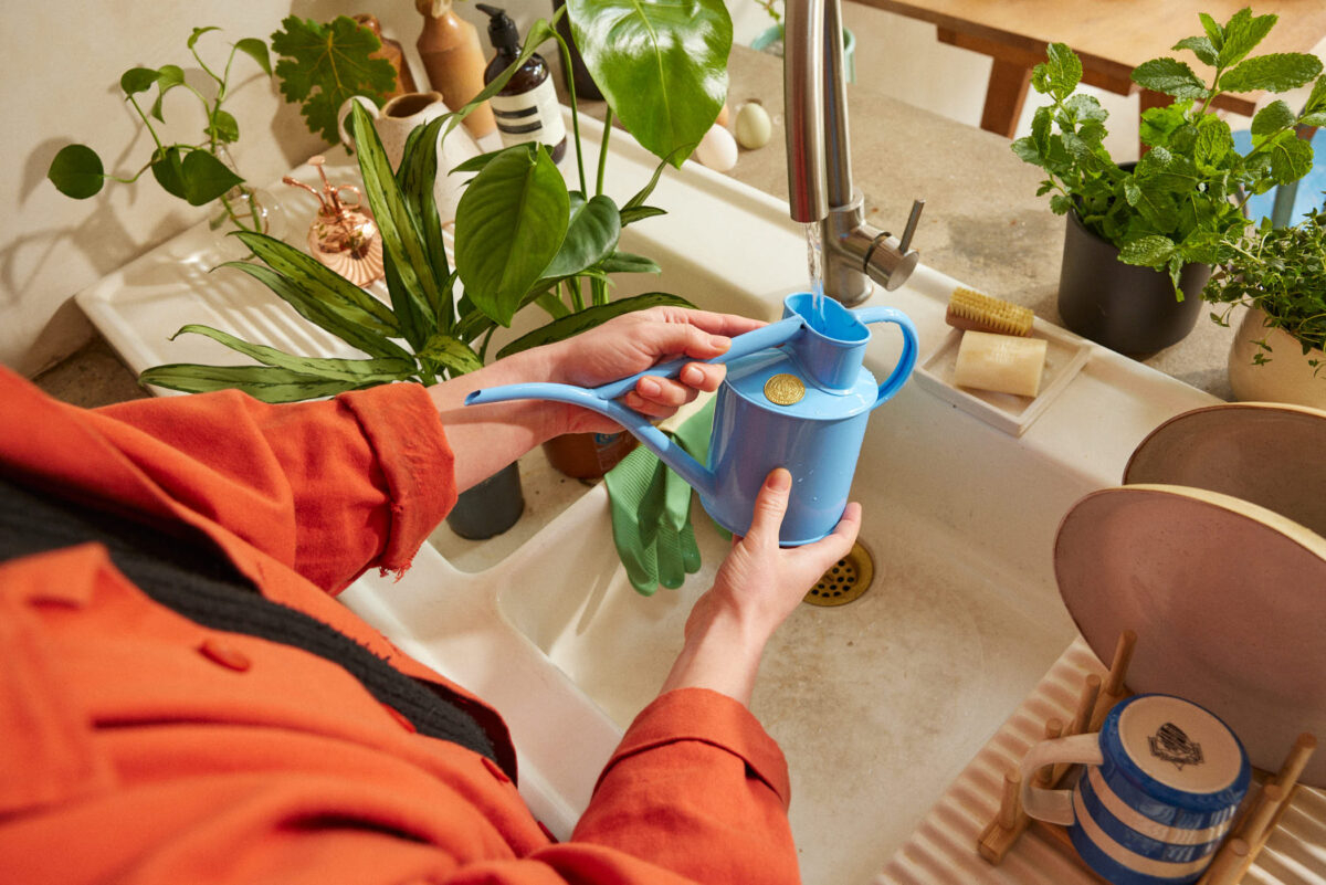 2024_04_17_Haws_Lifestyle Shoot_Indoors_0320 1 - Haws Watering Cans - Jack Terry