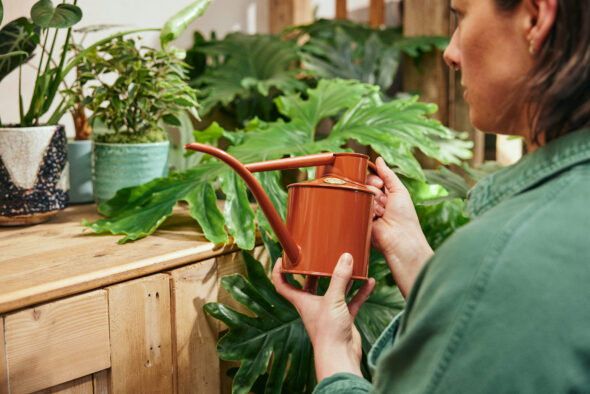 2024_04_17_Haws_Lifestyle Shoot_Indoors_0997 - Haws Watering Cans - Jack Terry