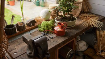 2024_04_17_Haws_Lifestyle Shoot_Indoors_1455 - Haws Watering Cans - Jack Terry